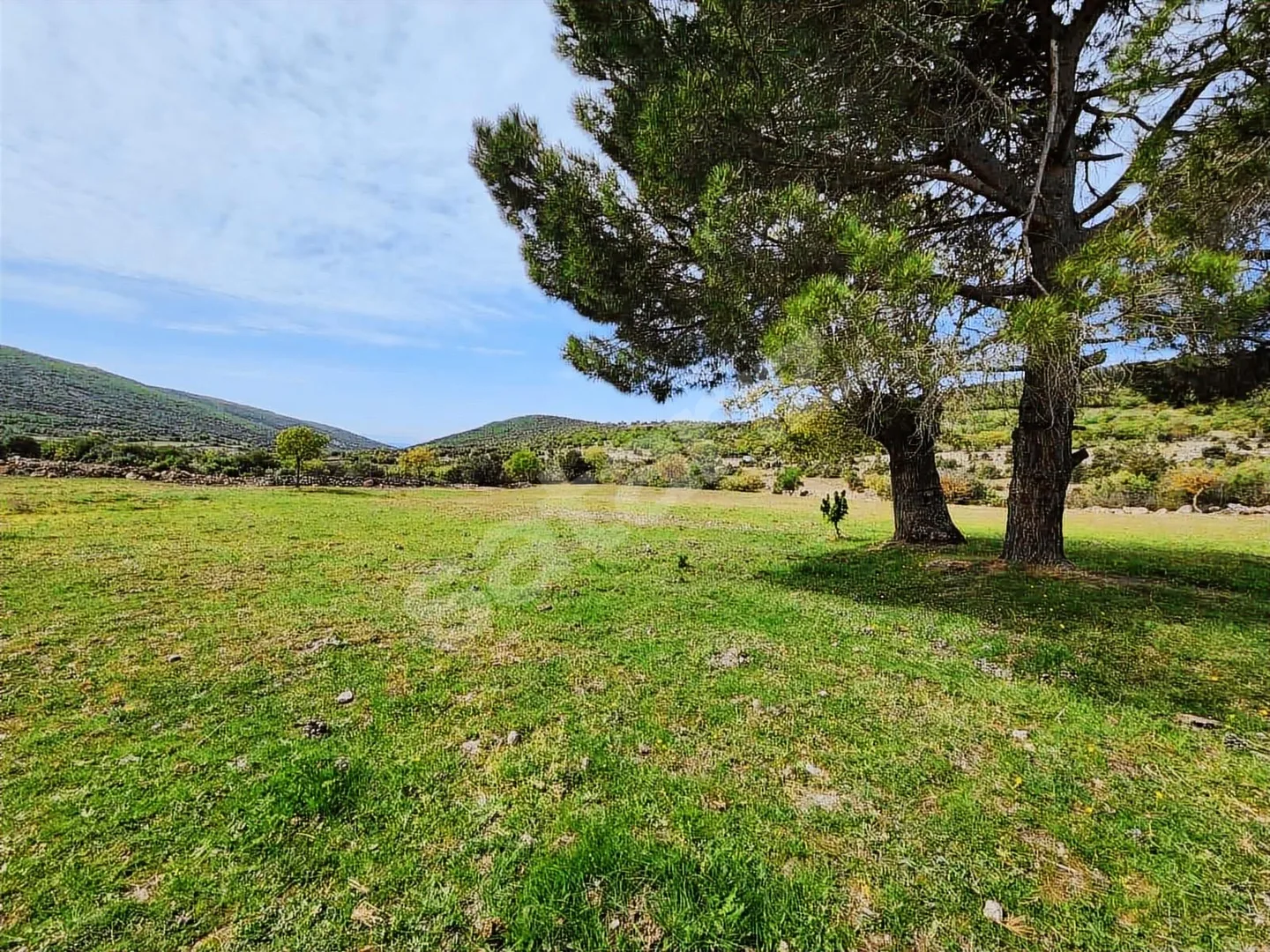 Satılık Arazi - 2.675.000₺ - 11.840M² - Su var - Etrafı çevrili
