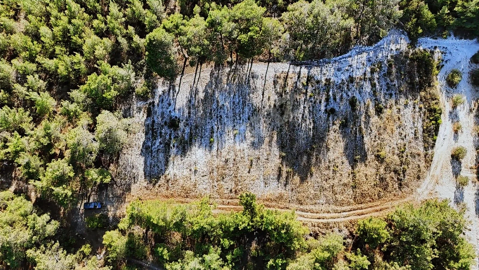 725.000₺ TEK TAPU ARAZİ KALEMLİ DE 1.450 m² YOLU VAR